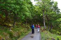 Wanderung im Glenveagh National Park