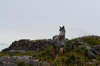 Wanderung auf den Aran Islands