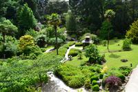 Powerscourt Gardens