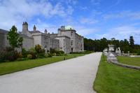 Powerscourt Gardens