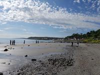 Causeway Coastal Route