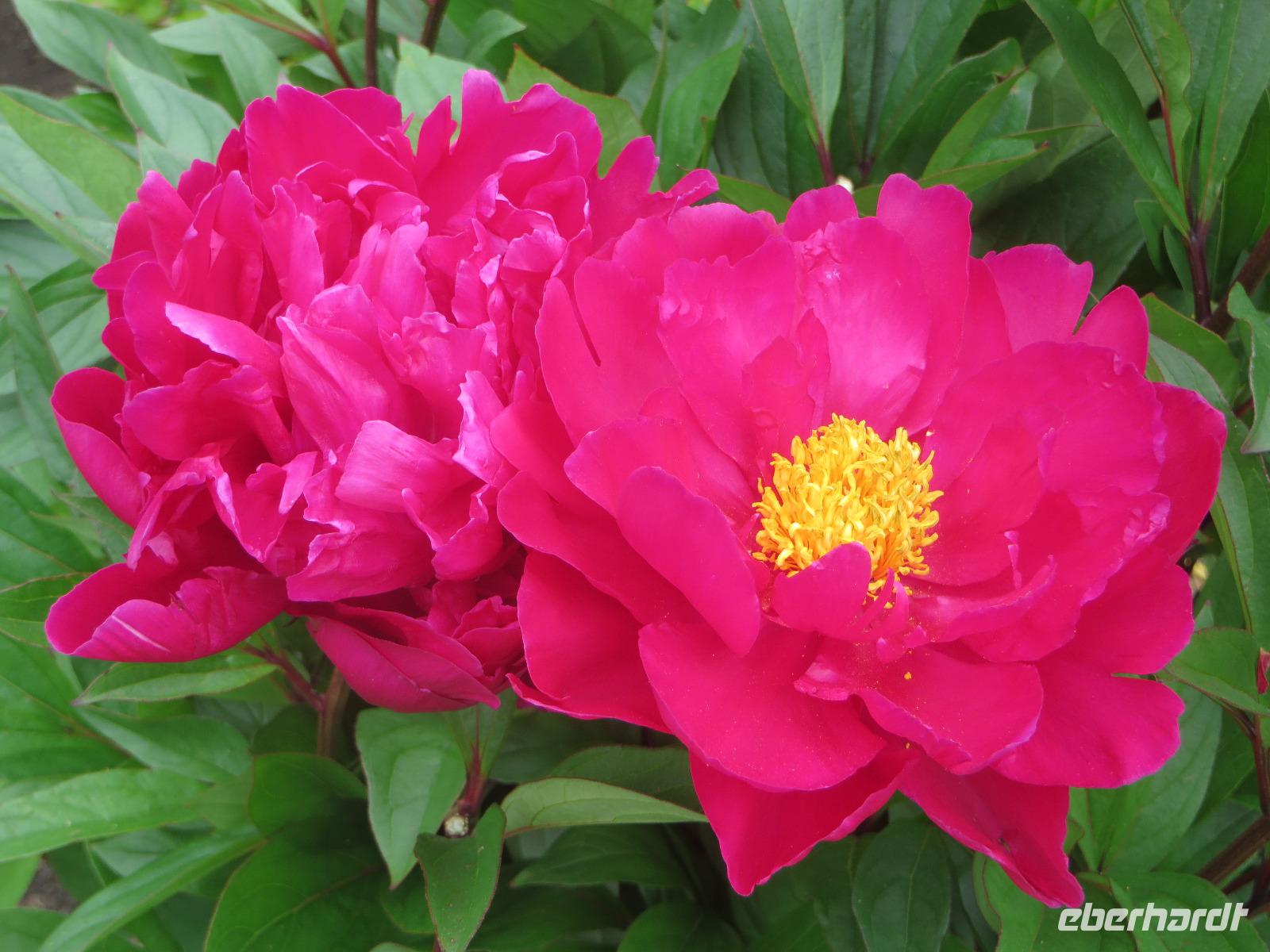 Donegal, Glenveigh National Park