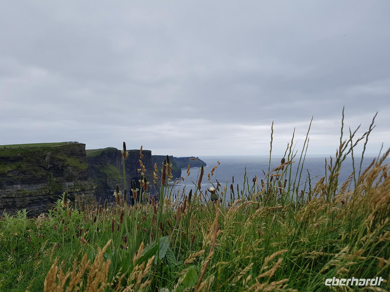 Cliffs of Moher