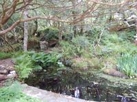 Im Glenveagh Nationalpark