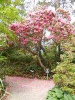Im Glenveagh Nationalpark