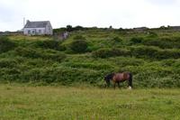 Wanderung auf den Aran Islands