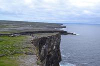 Klippen bei Dun Aengus