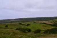 Wanderung im Burren