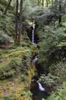 Wasserfall, Glendalough