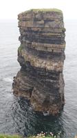 Felsformation am Downpatrick Head