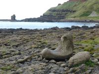 Giant´s Causeway - Stiefel des Riesen