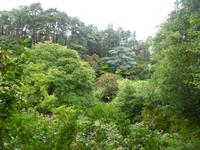 Glenveagh Nationalpark - Park