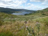 Glenveagh Nationalpark 