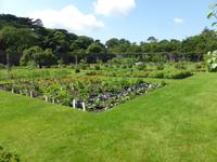 Kylemore Abbey - Garten