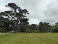 Ring of Kerry - Muckross House