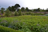Dublin - Phoenix Park