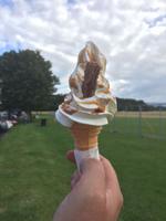 Eis im Phönix Park in Dublin