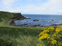 Giant's Causeway