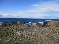 Giant's Causeway