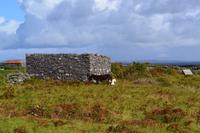 Wanderung auf Inishmore
