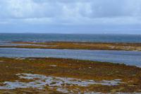 Wanderung auf Inishmore - Seal Colony