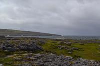 Atlantikküste im Burren