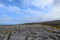 Atlantikküste im Burren