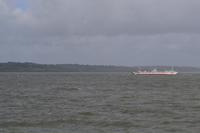 Fähre über den Shannon