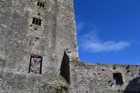 Blarney Castle & Gardens