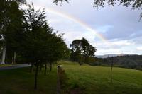 Regenbogen über Enniskerry