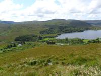 048 Norden Irlands - Heidelandschaft