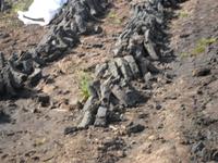 057 Irland - Torfziegel