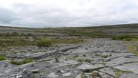 082 Irland - Steinöde Burren