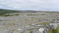 083 Irland - KalksteinwÜste des Burren