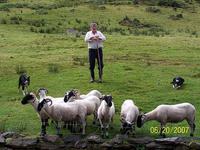 102 Irland - SchÃ€fer Brendan