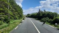 155 – Irland, Connemara