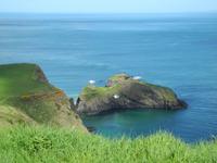 Hängebrücke con Carrick-a-Rade