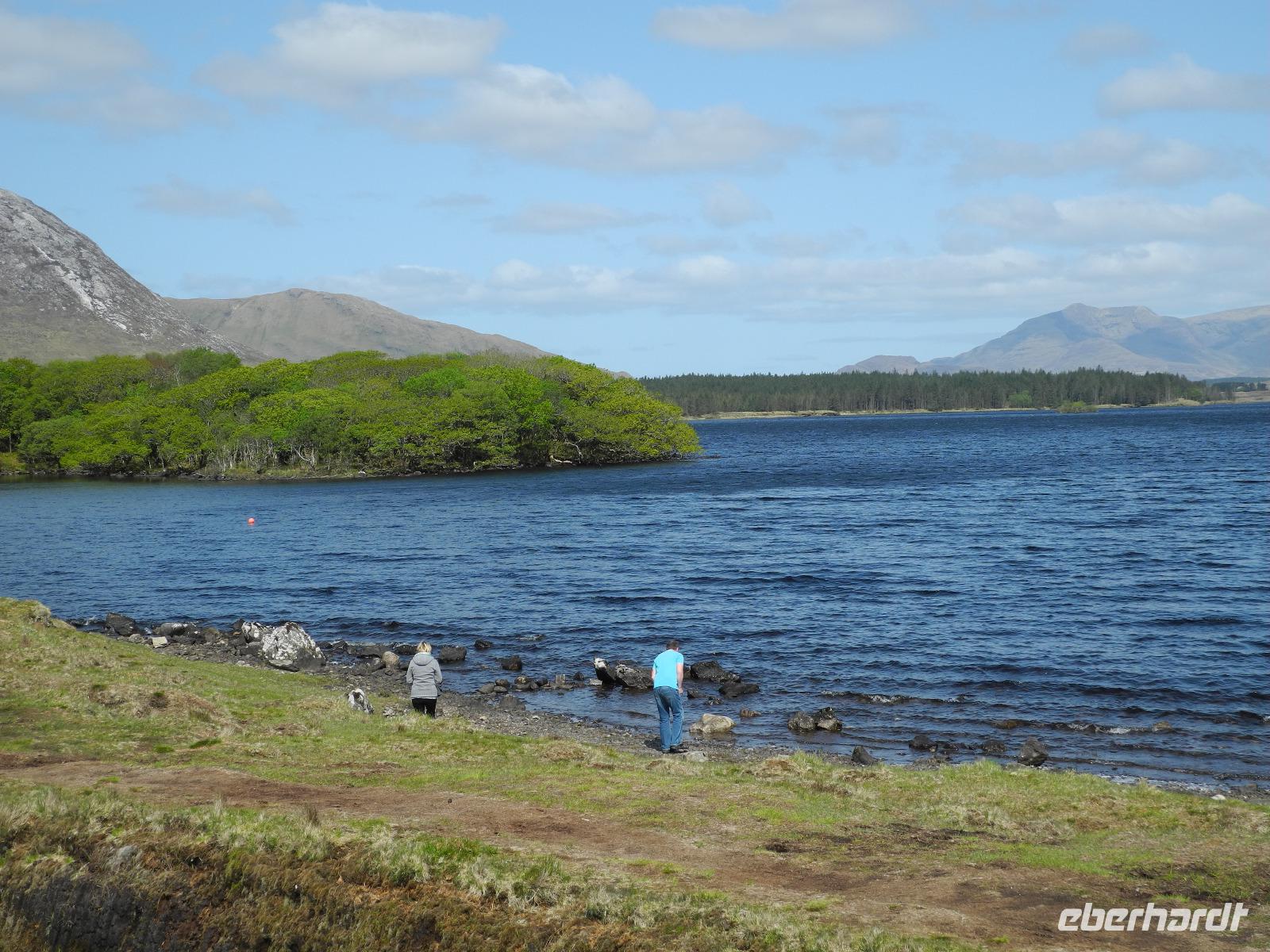 Ungterwegs in der Natur......
