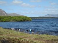 Ungterwegs in der Natur......