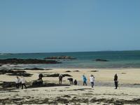 beim Suchen von Korallen