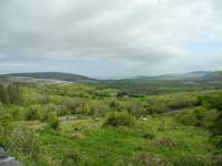 unterwegs im Grünen