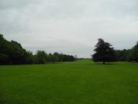 und der Schloßgarten