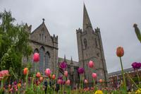 St. Patricks Kathedrale, Dublin