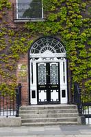 Doors of Dublin