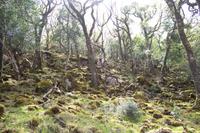 Glenveagh-Nationalpark