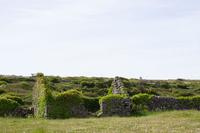 Aran-Insel Inishmore
