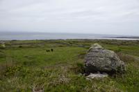Aran-Insel Inishmore