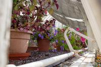 Killarney-Nationalpark