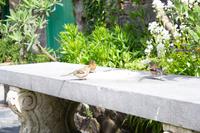 Glenveagh-Nationalpark