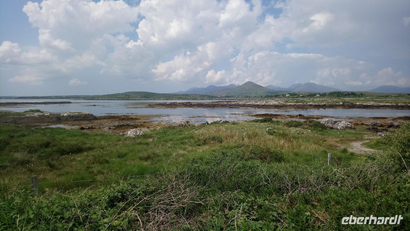 DSC_0340irlandjuni2018 (14)